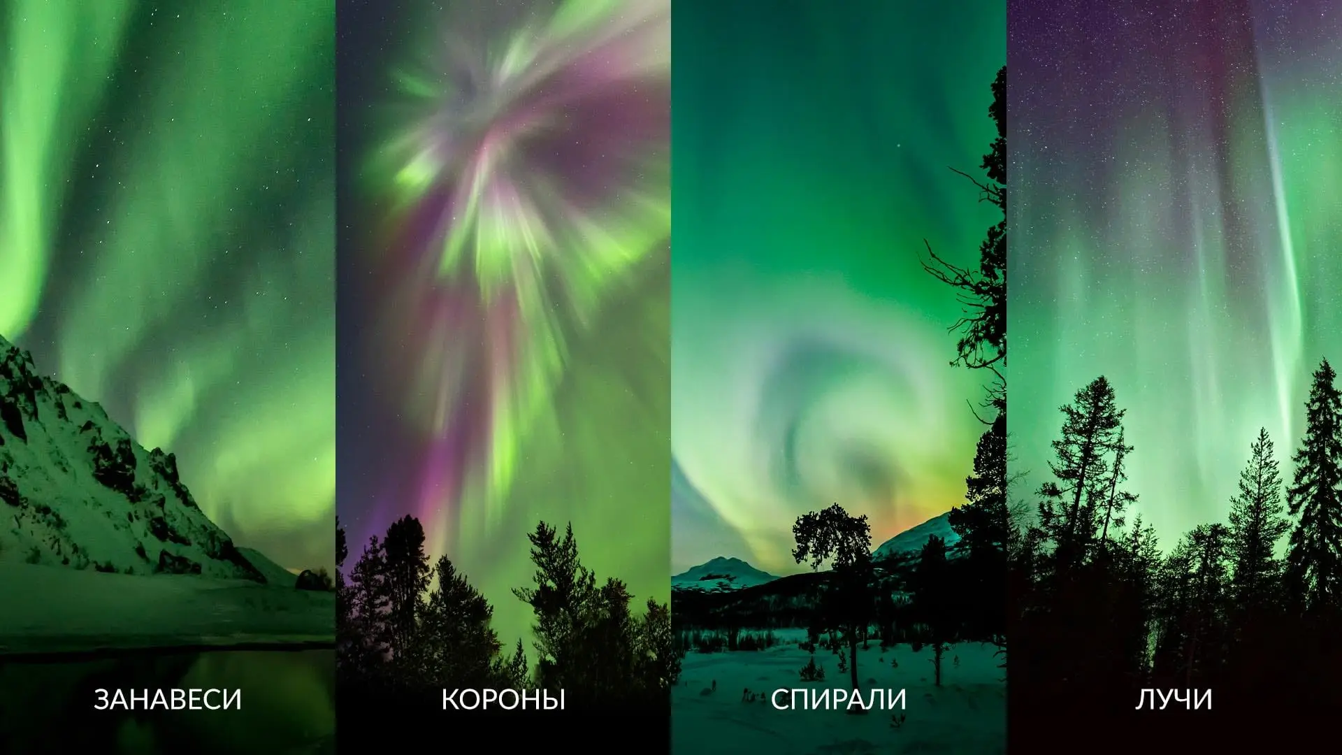Северное сияние Природное чудо арктических регионов image 1