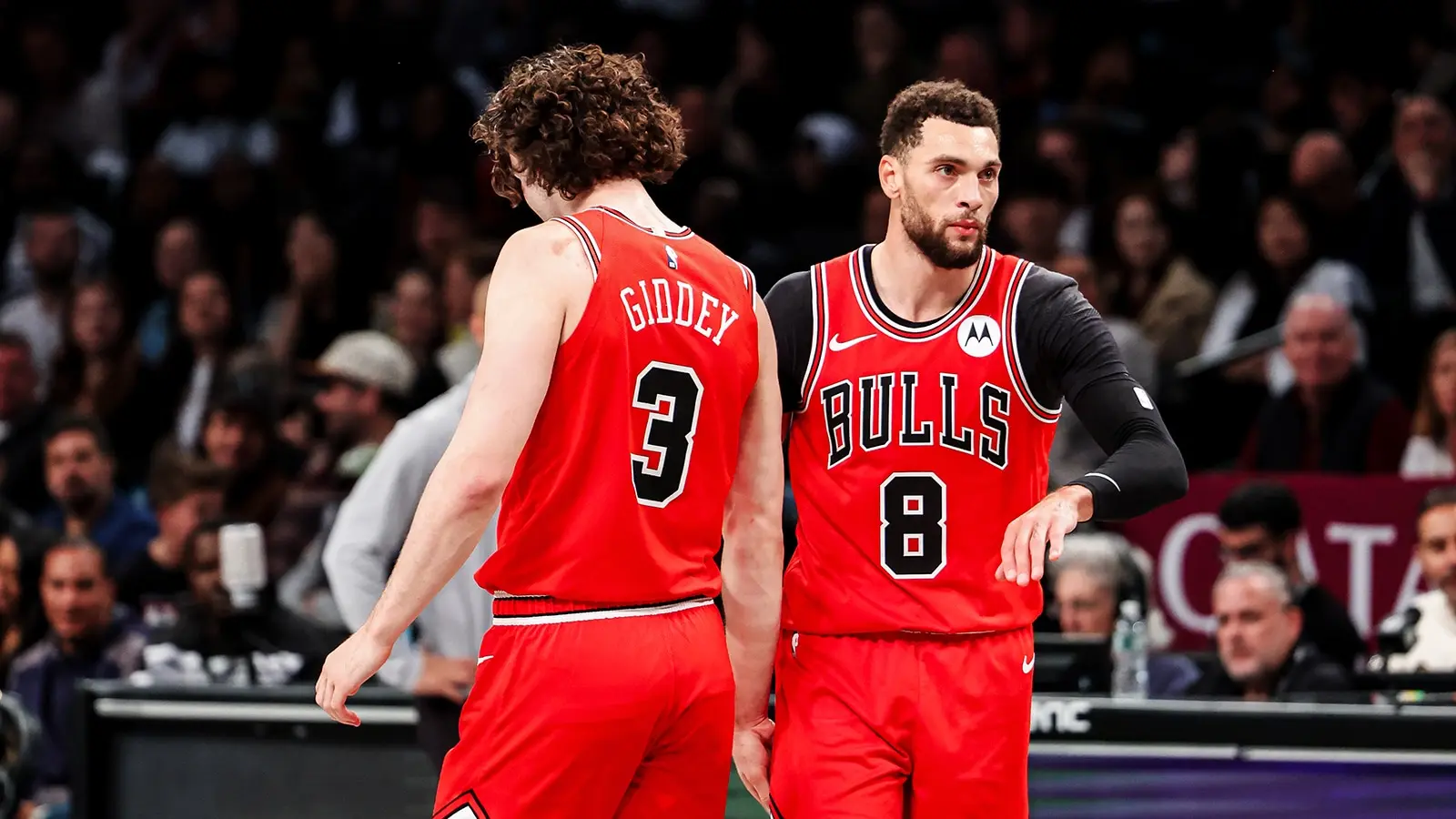 bulls nets