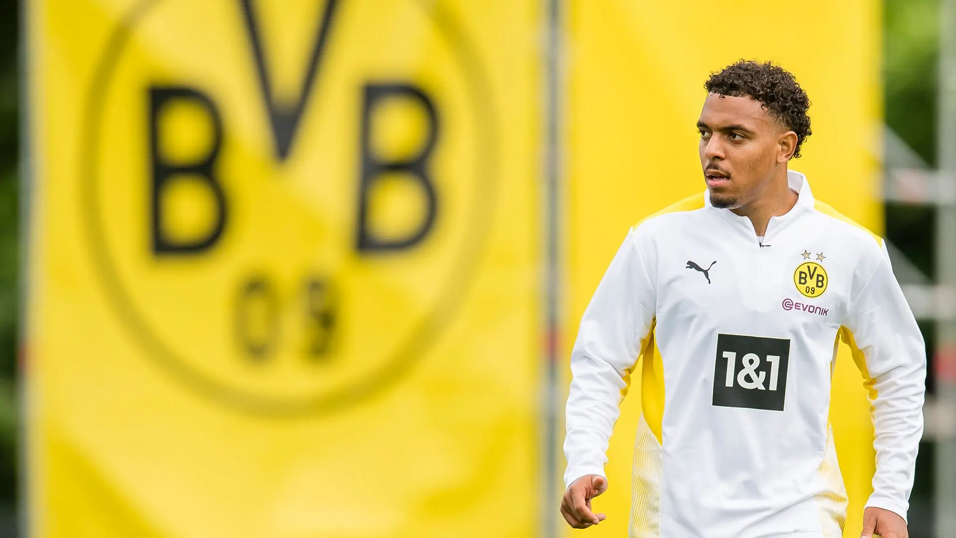 bvb ticketshop