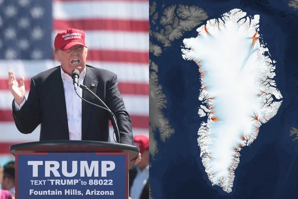 donald trump gr nland