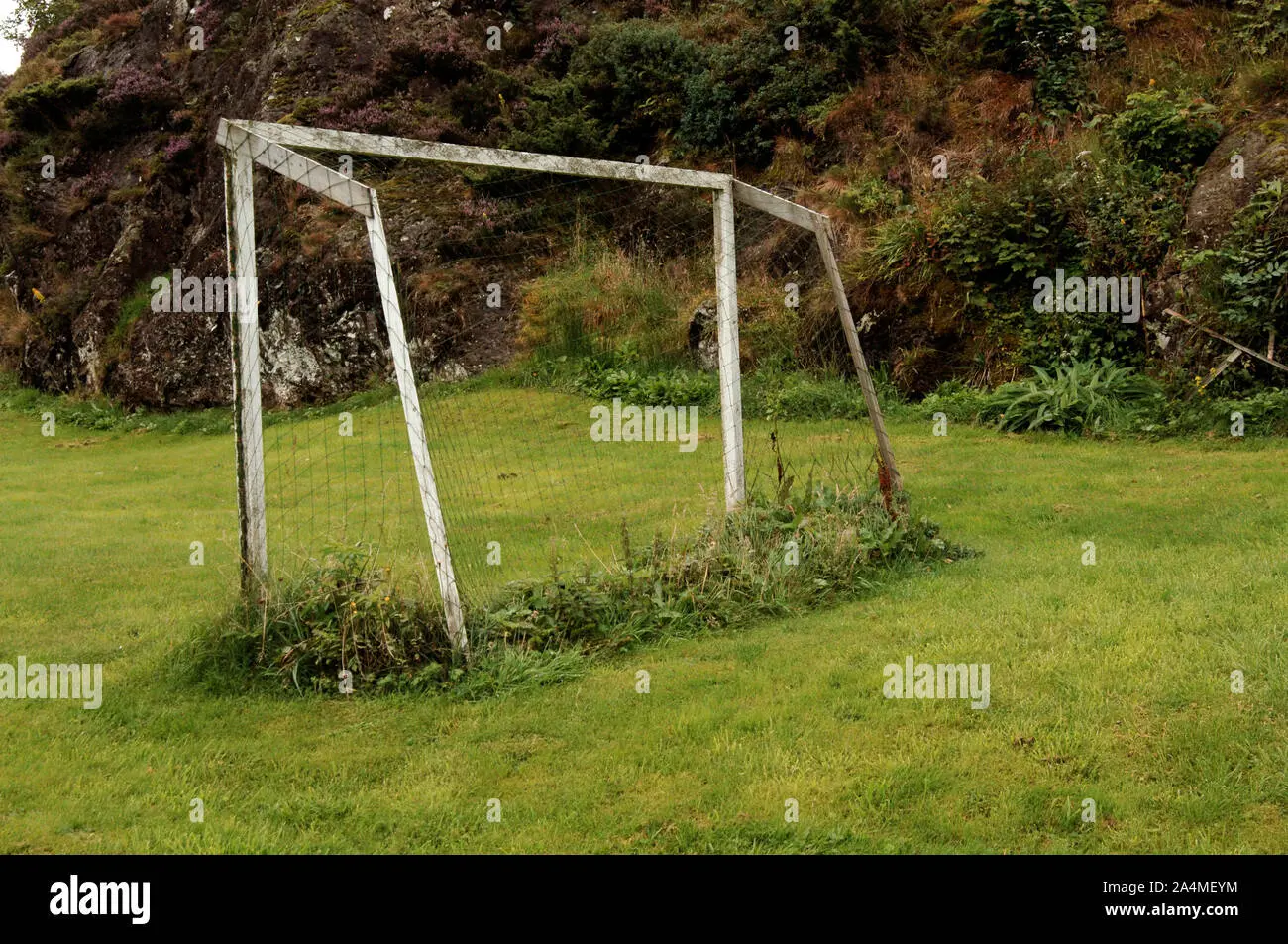 empty goal