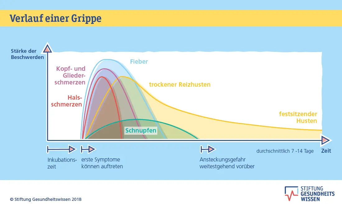 grippewelle influenza 1