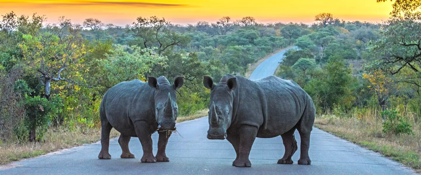 kr ger nationalpark