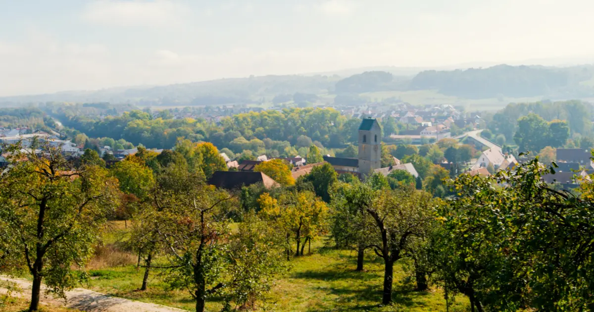 neckartailfingen