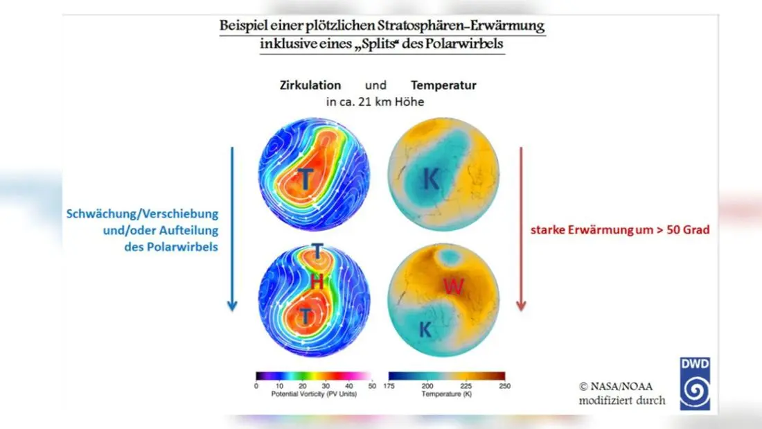 polarwirbel vorhersage