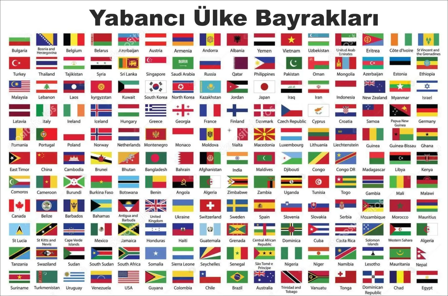 t rk bayragi