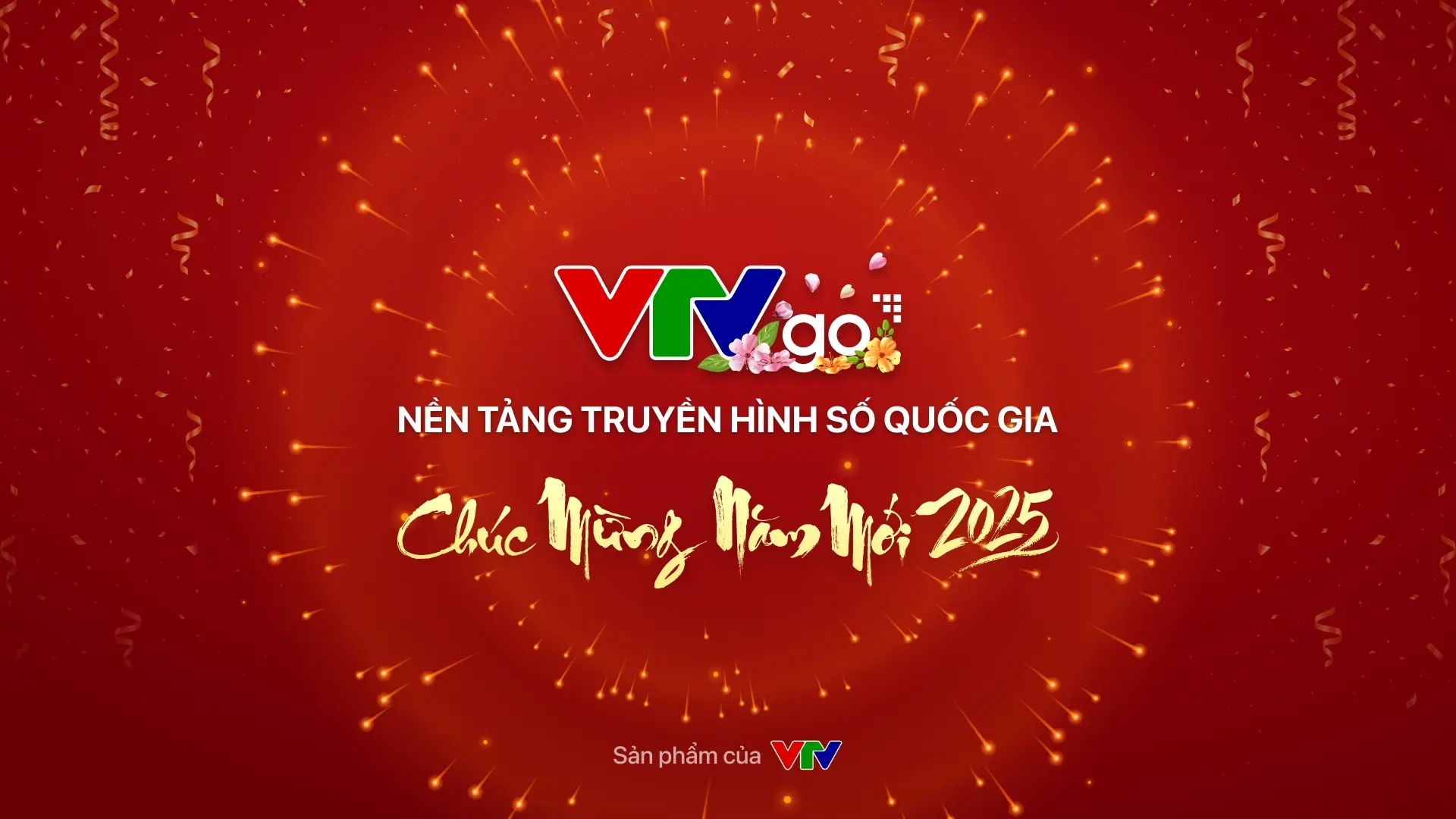 vtvgo