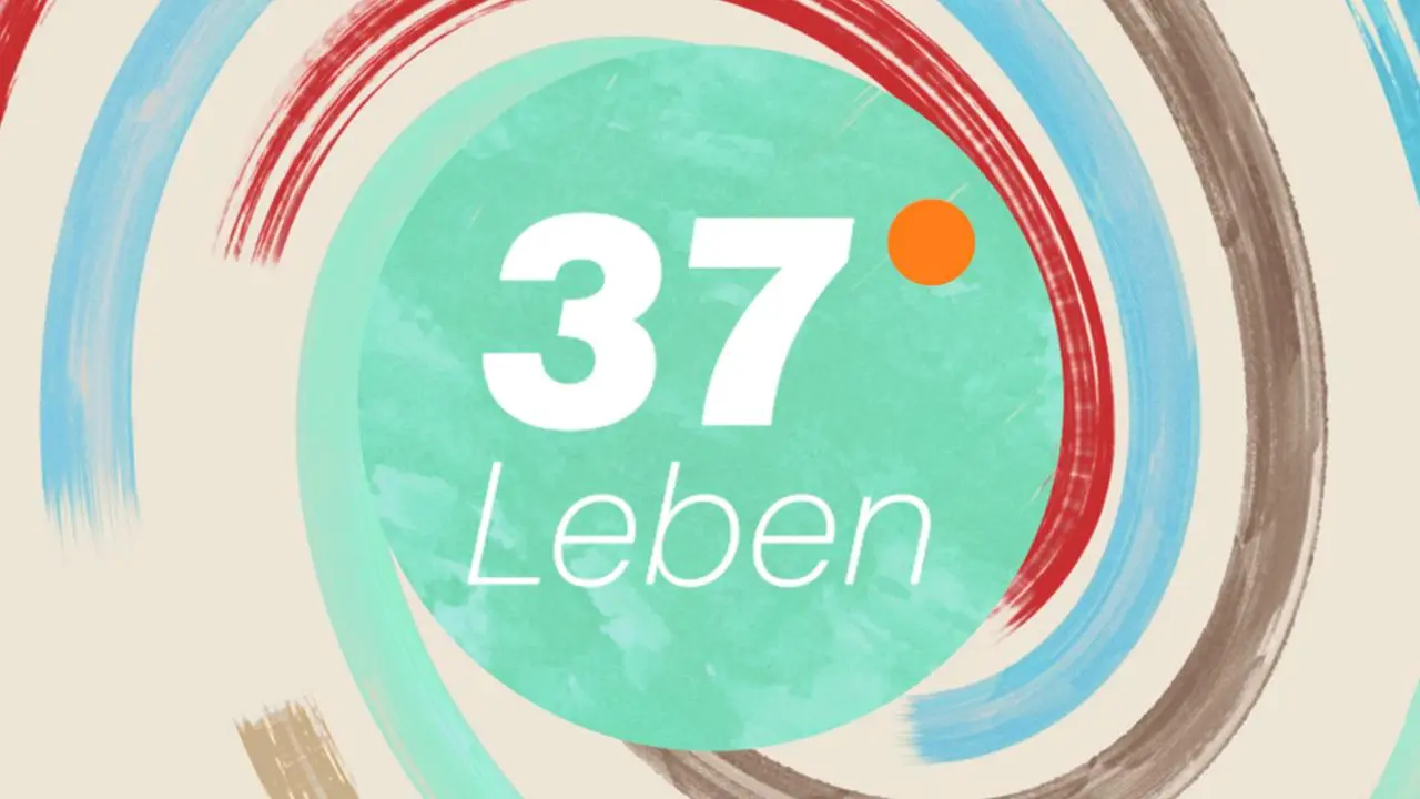 zdf live