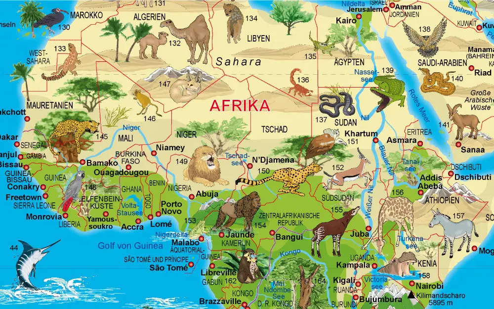 afrika