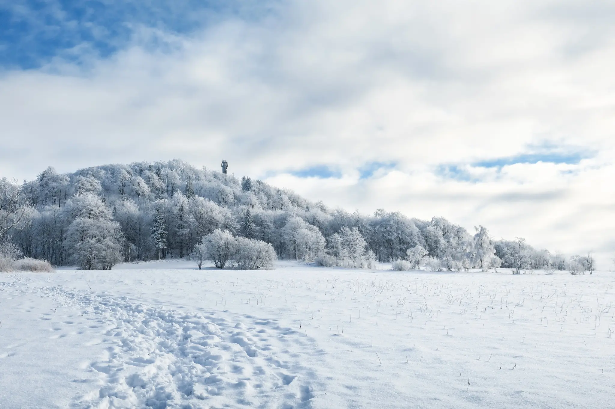 altenberg