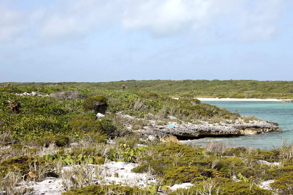 bahamas