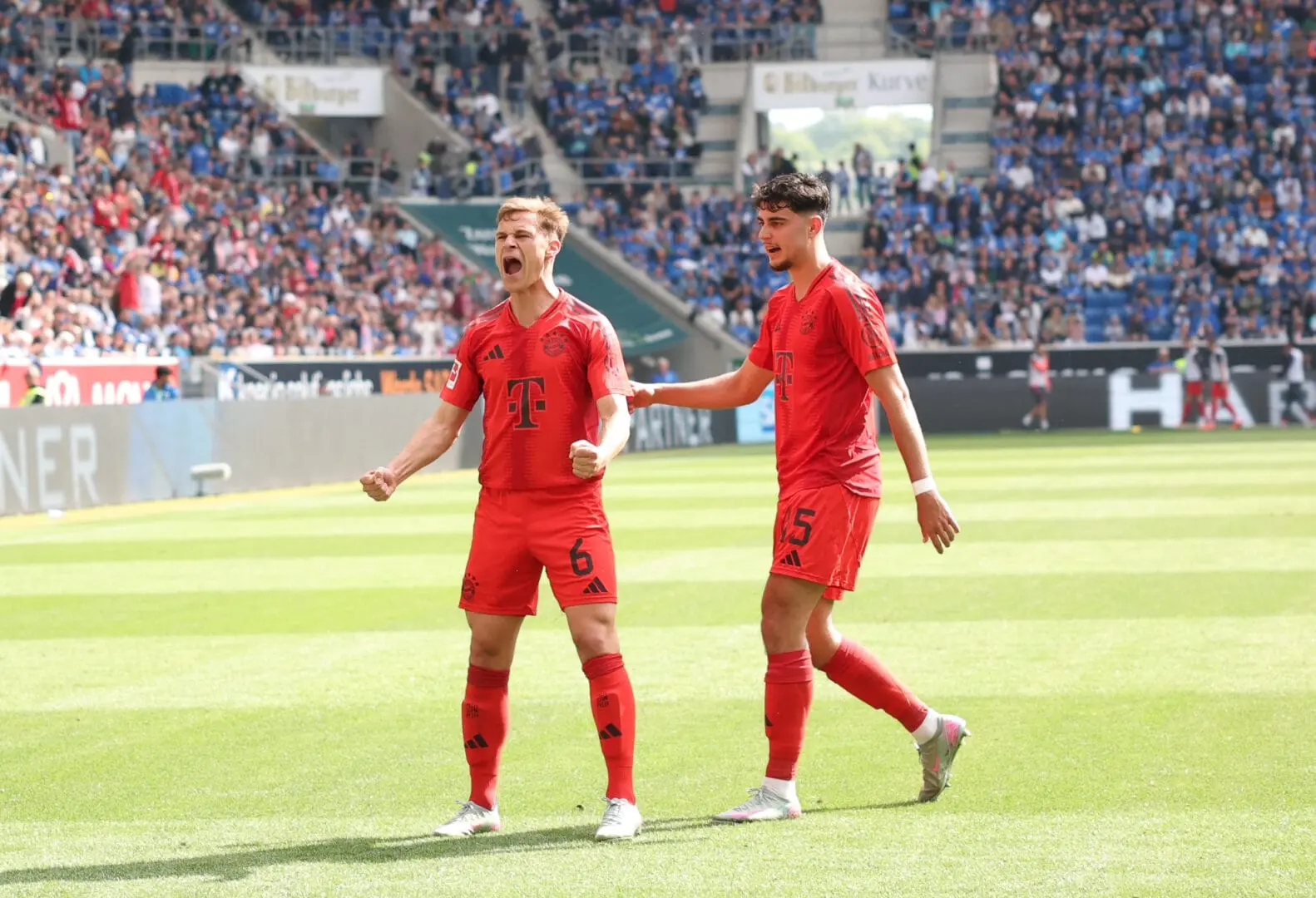 bayern hoffenheim