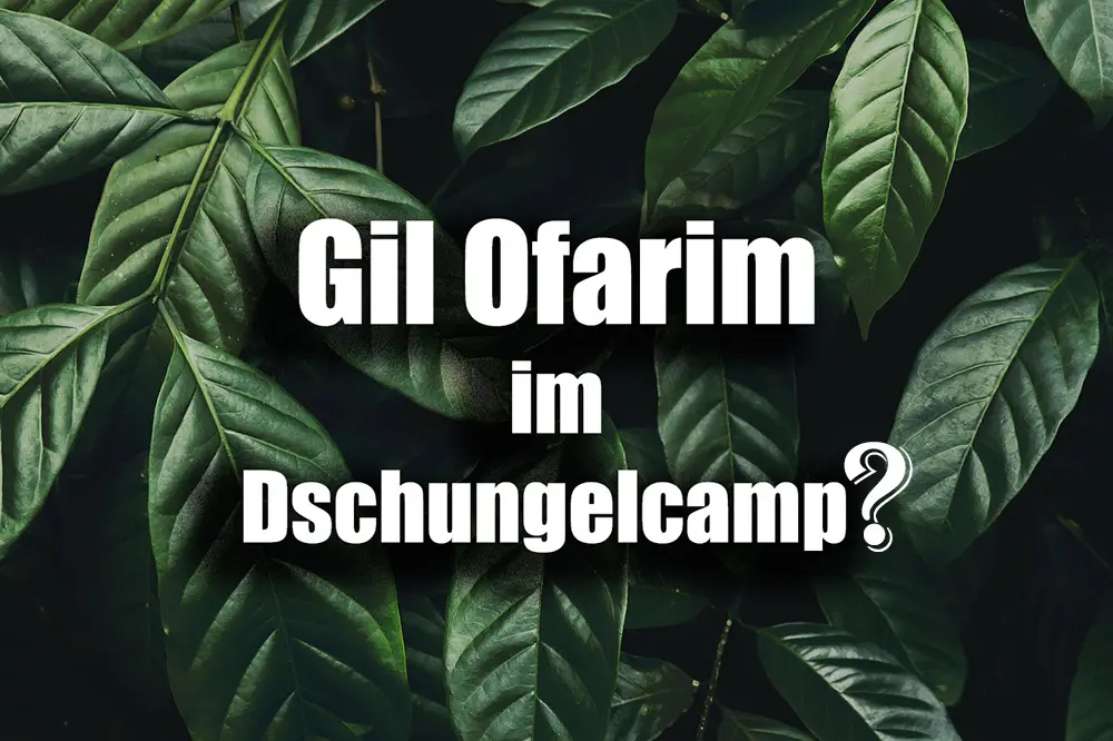 dschungelcamp gil