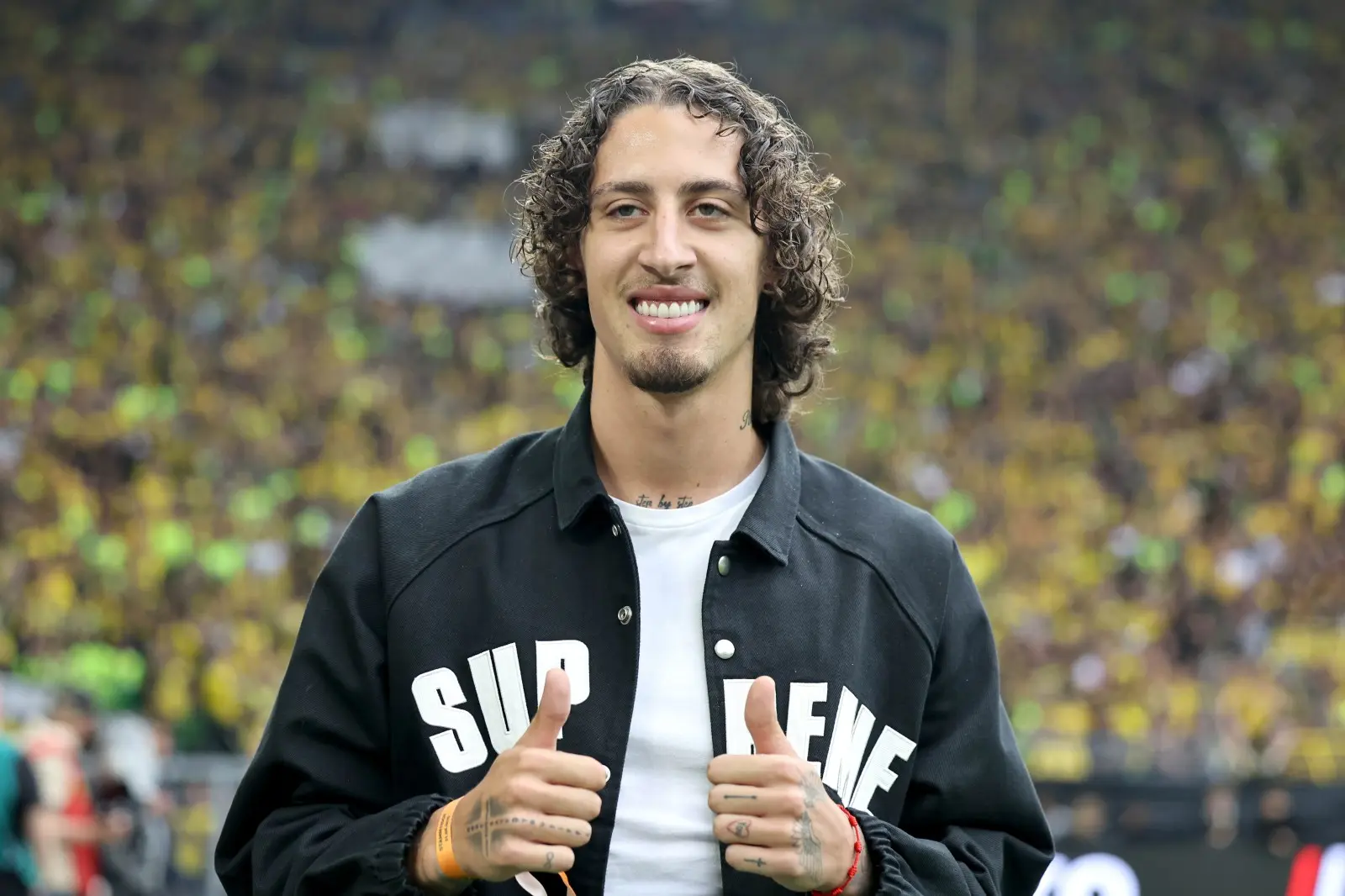 f bio silva bvb