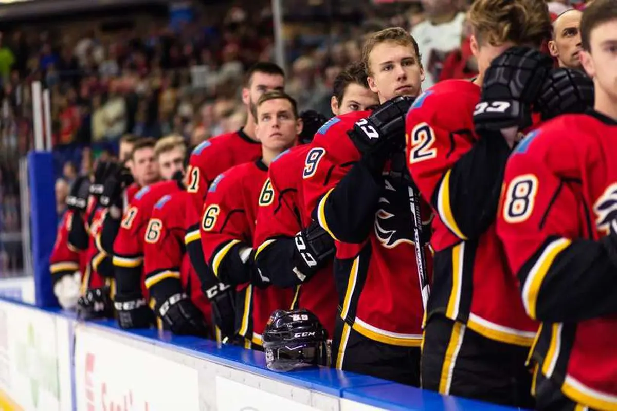 flames oilers