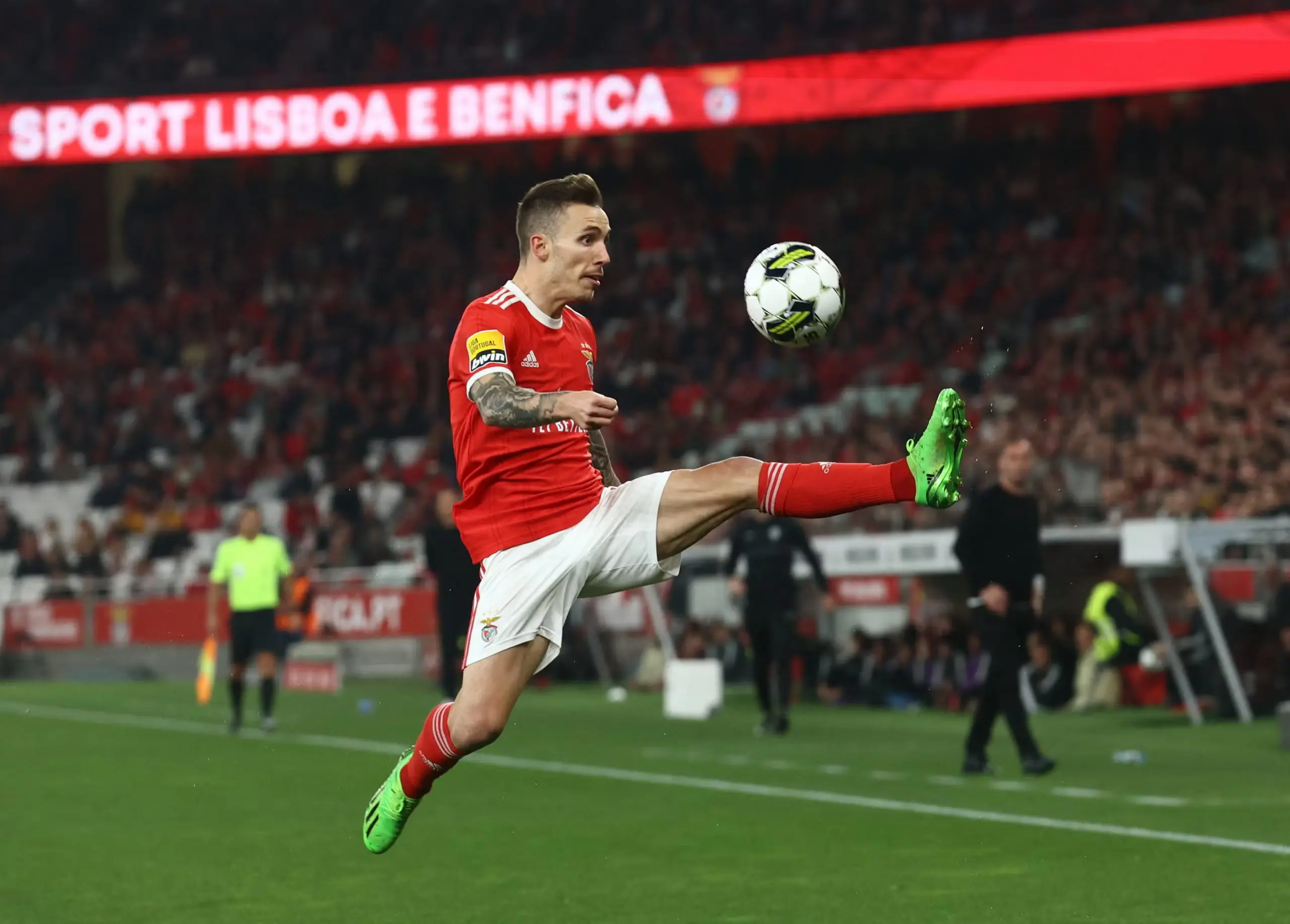 grimaldo