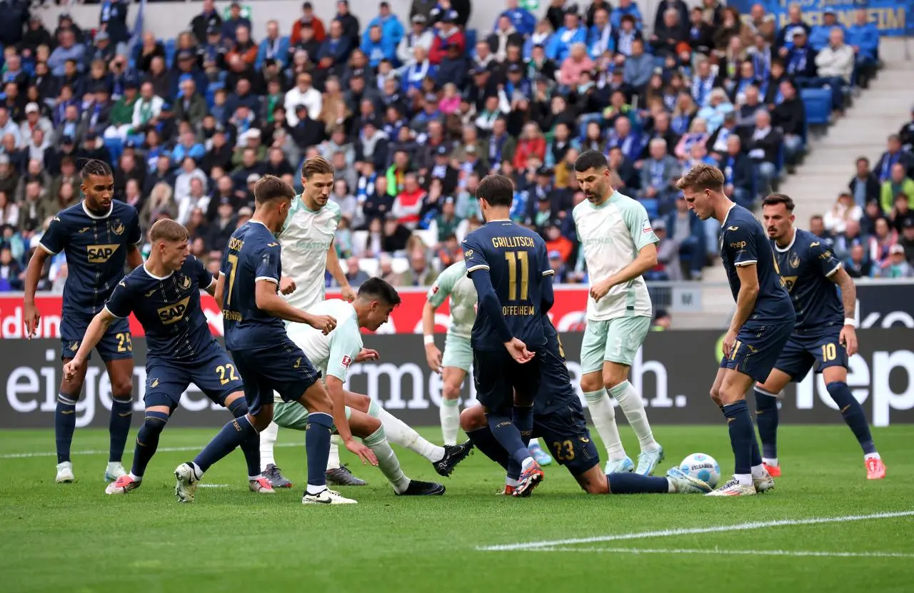 hoffenheim bremen