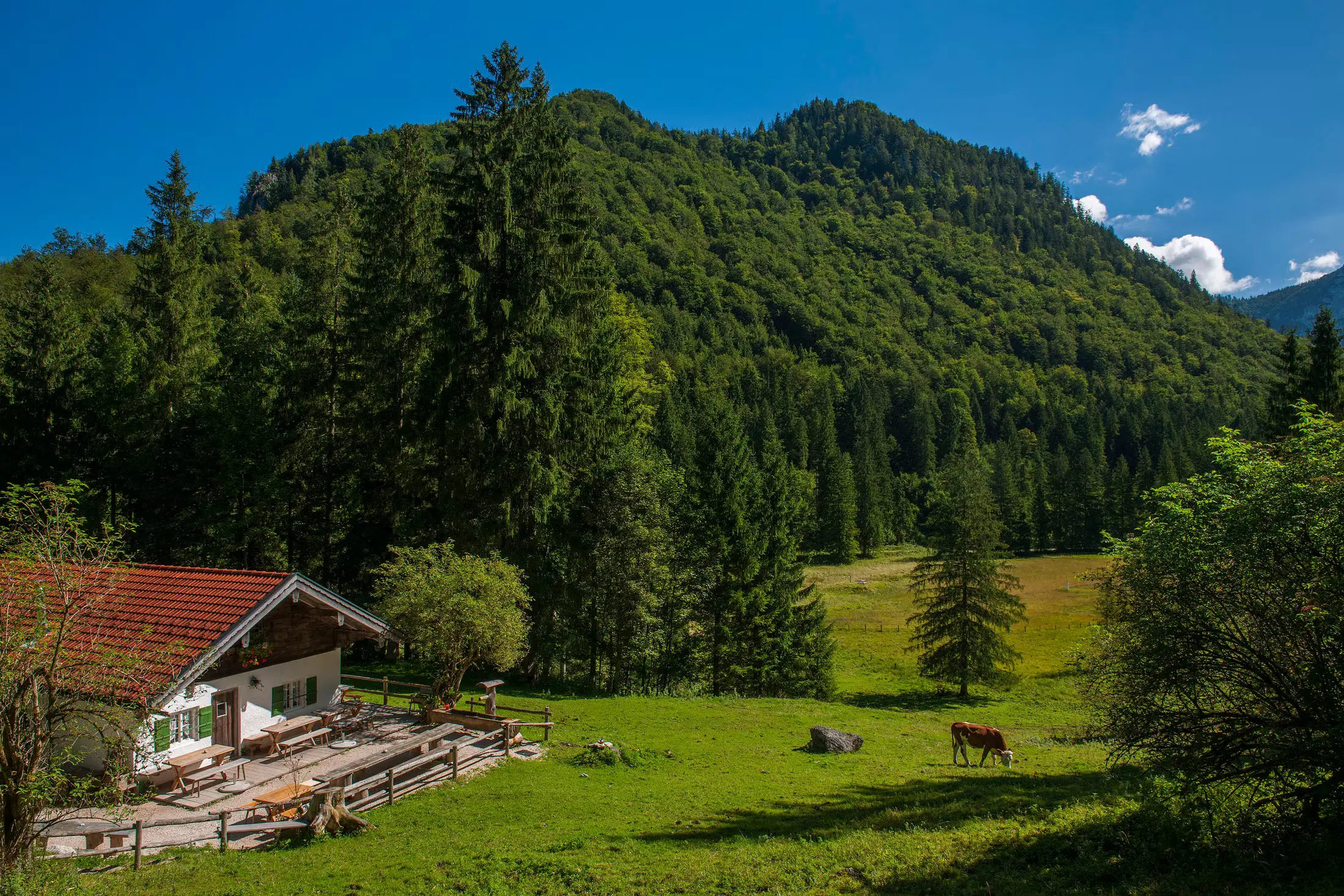 inzell