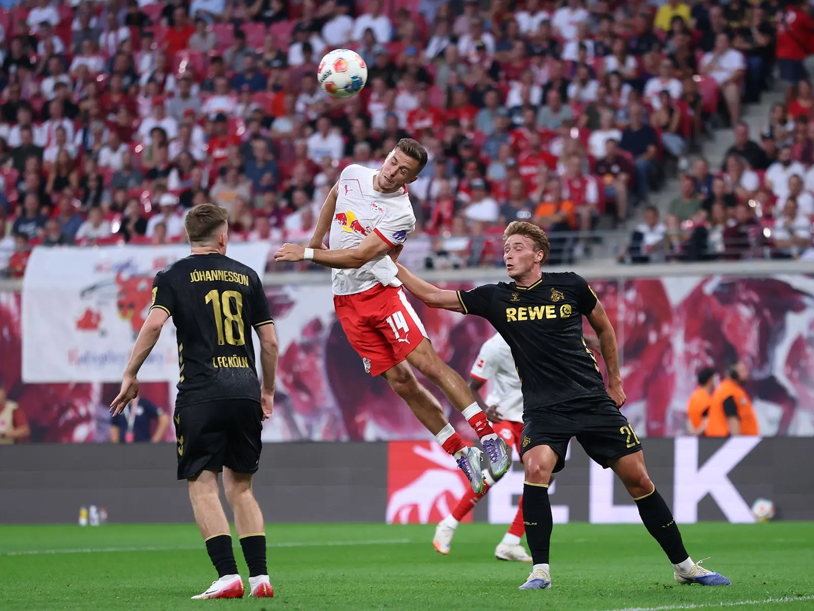 k ln rb leipzig