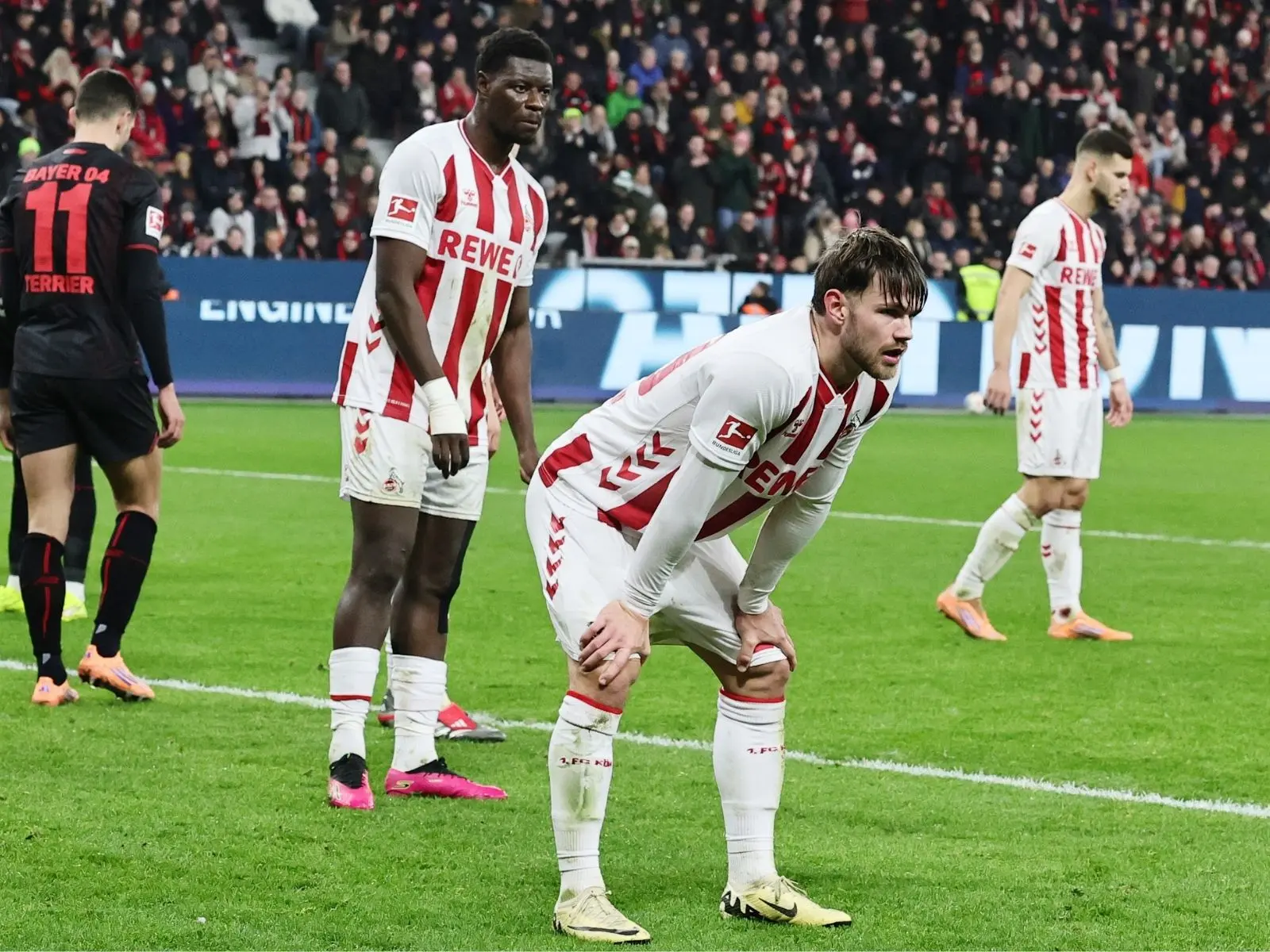 leverkusen 1 fc k ln