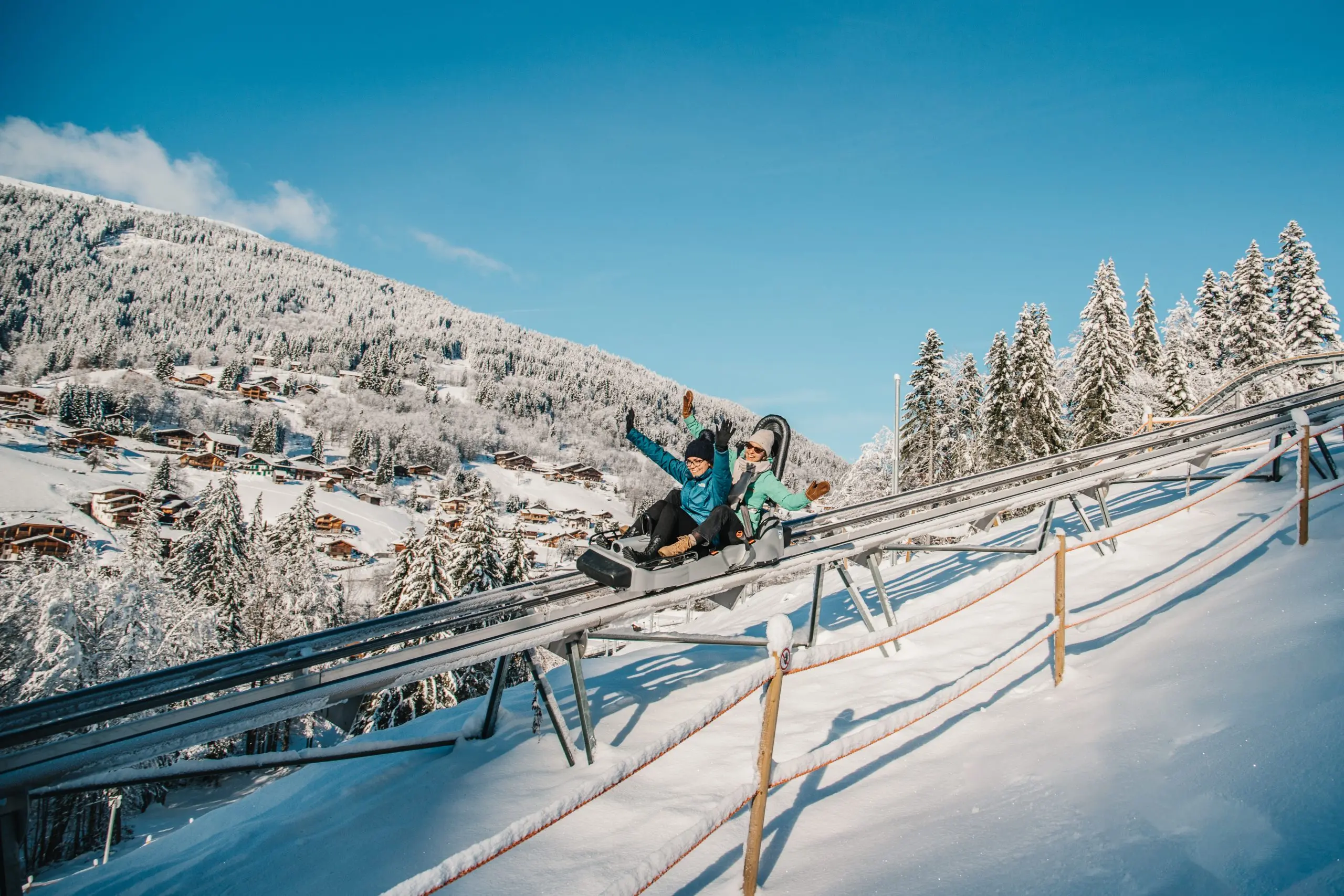 luge