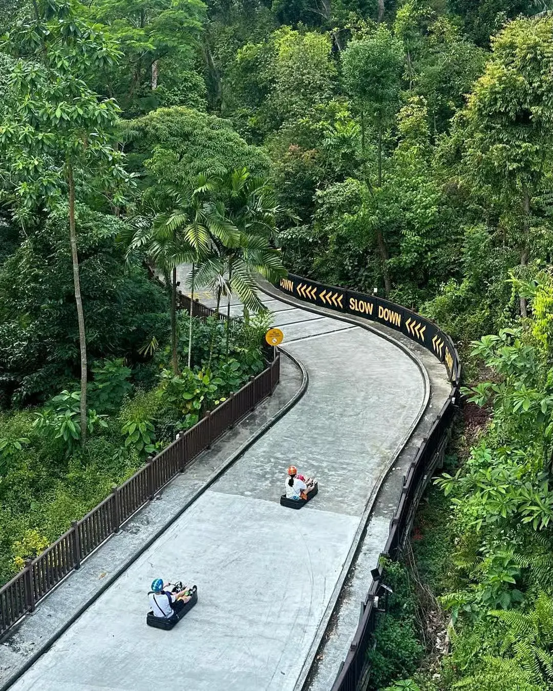luge
