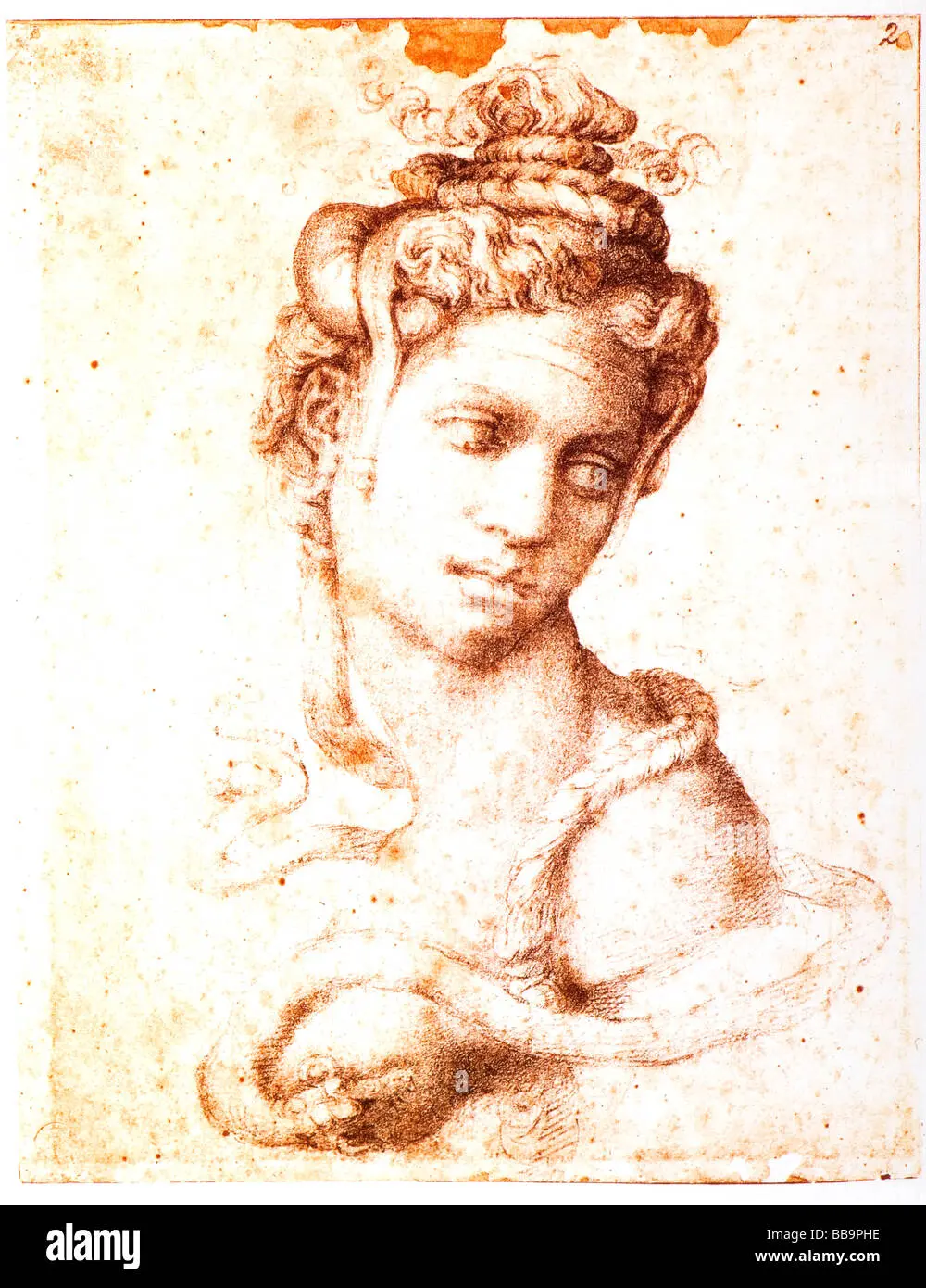 michelangelo