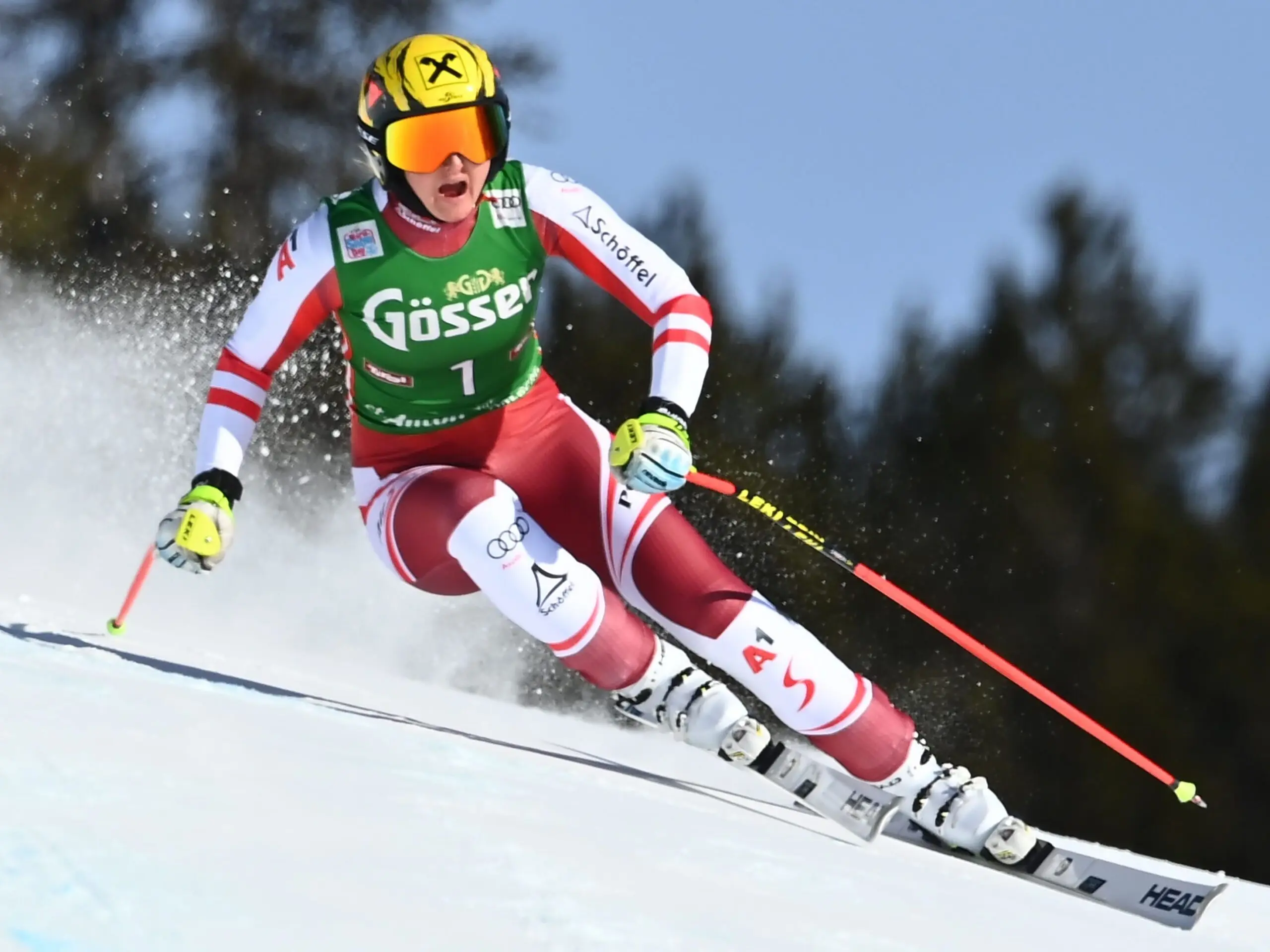 nina ortlieb