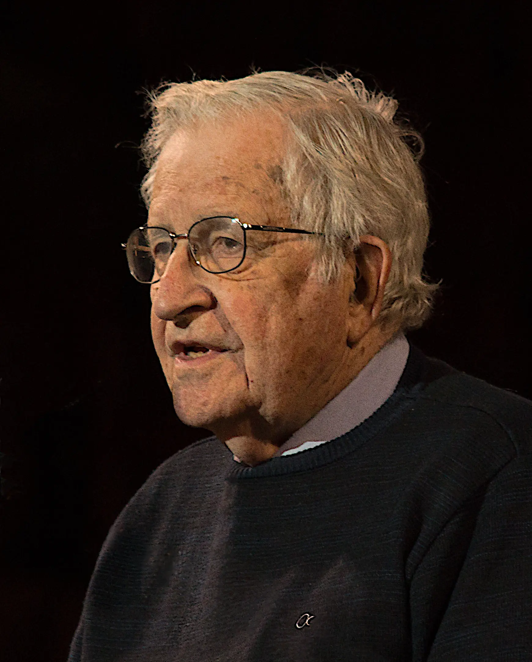 noam chomsky