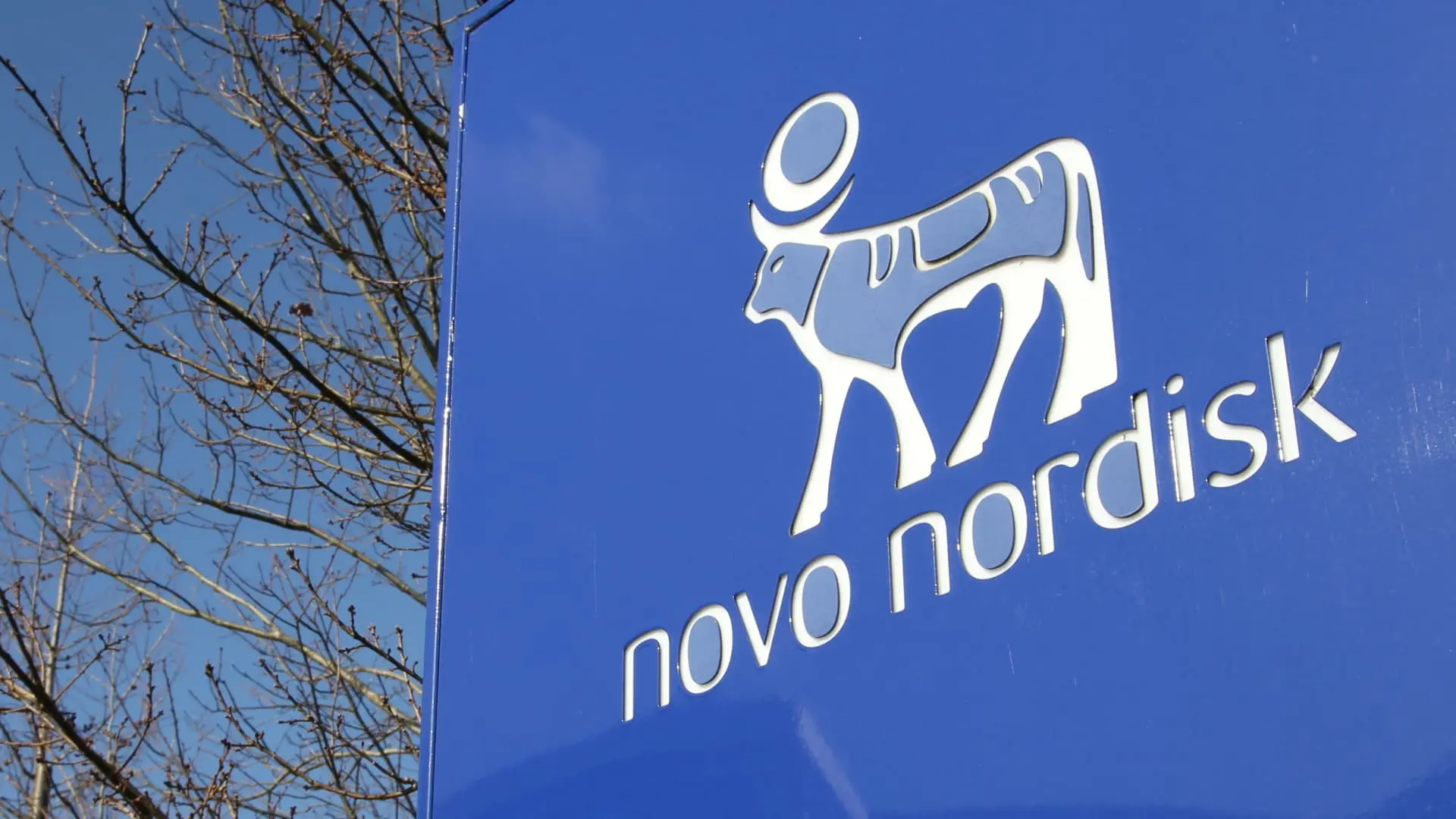 novo nordisk