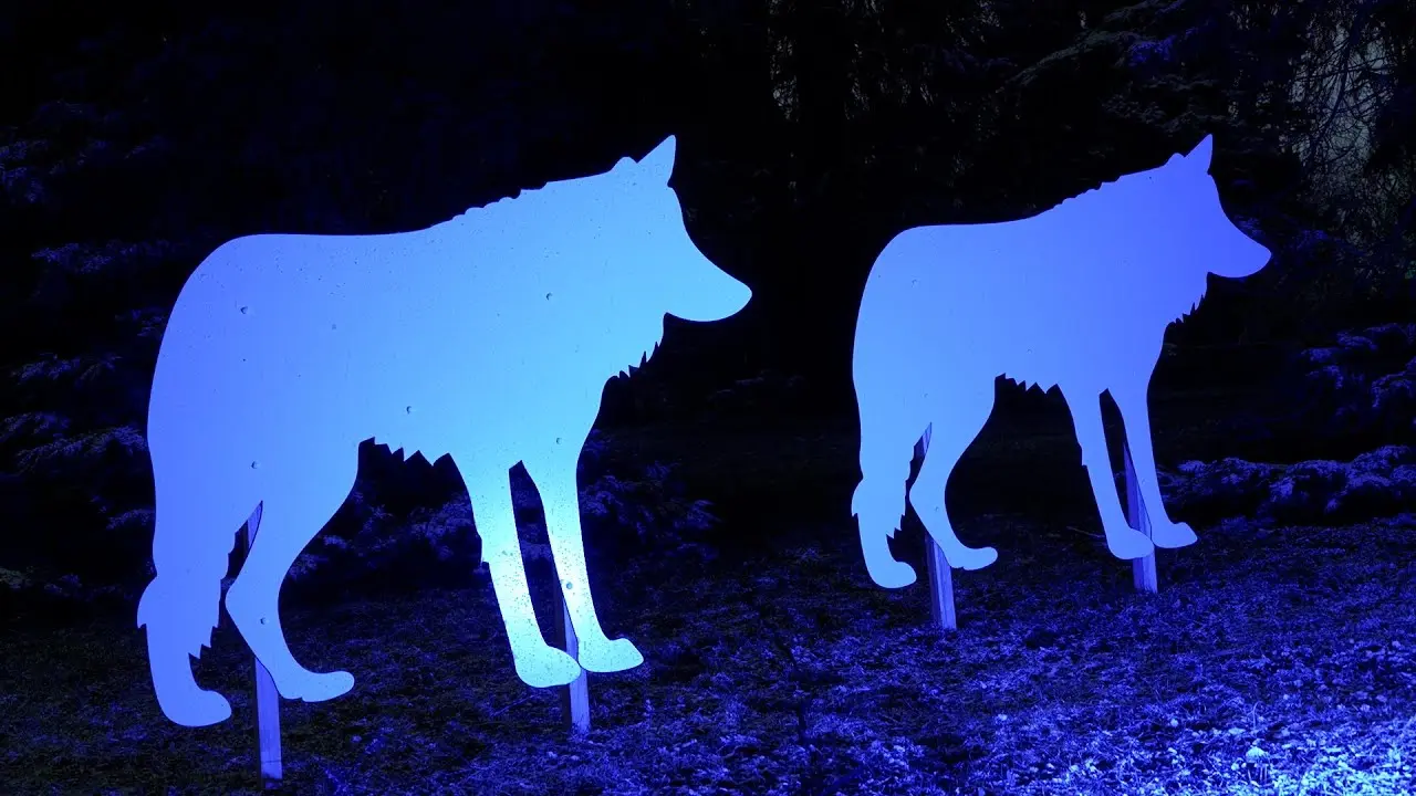 polarlichter