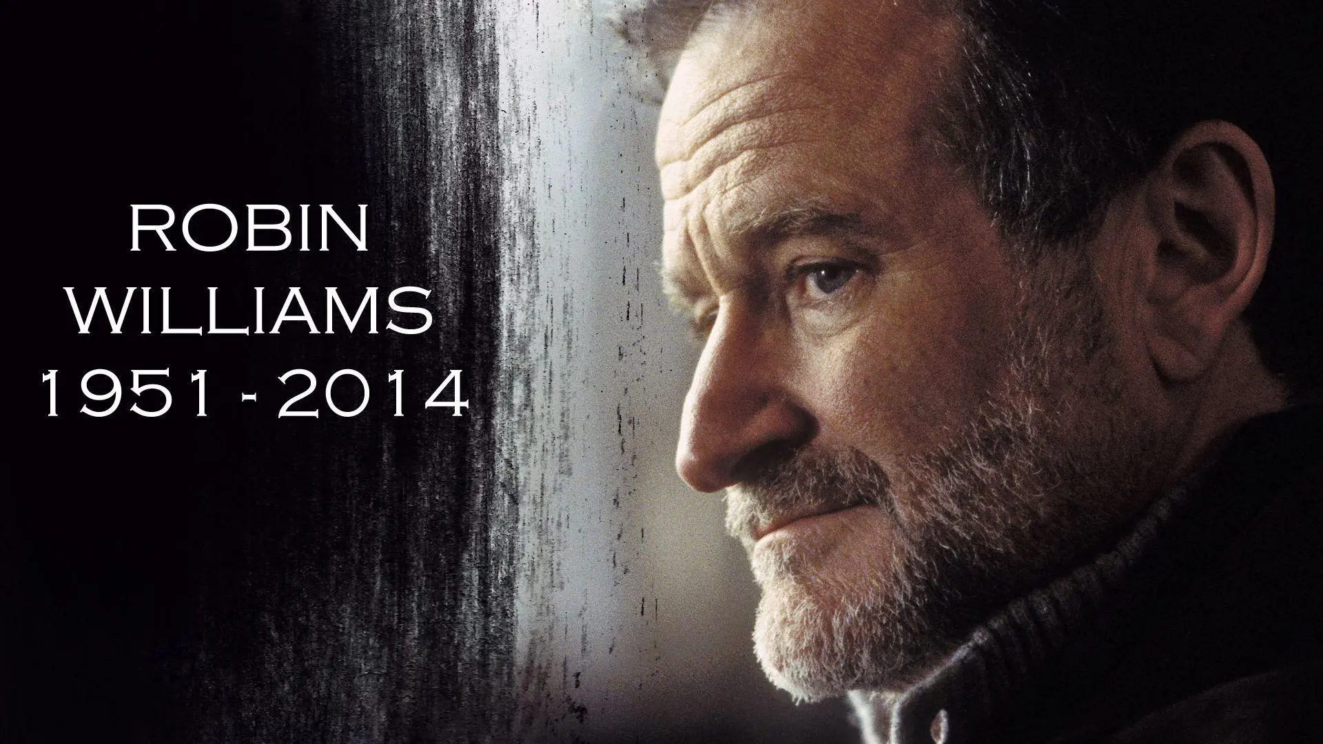 robin williams
