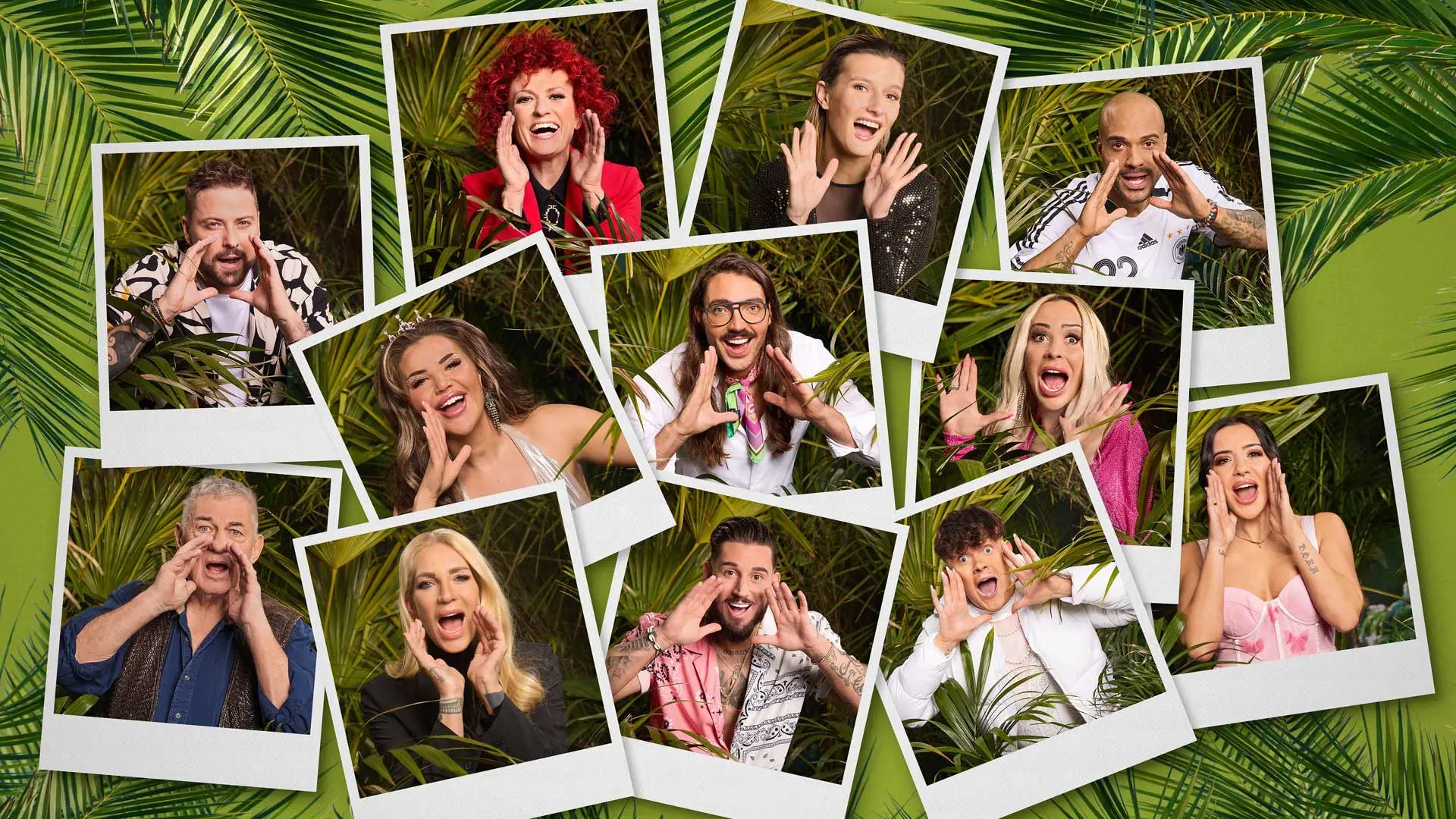 rtl de dschungelcamp