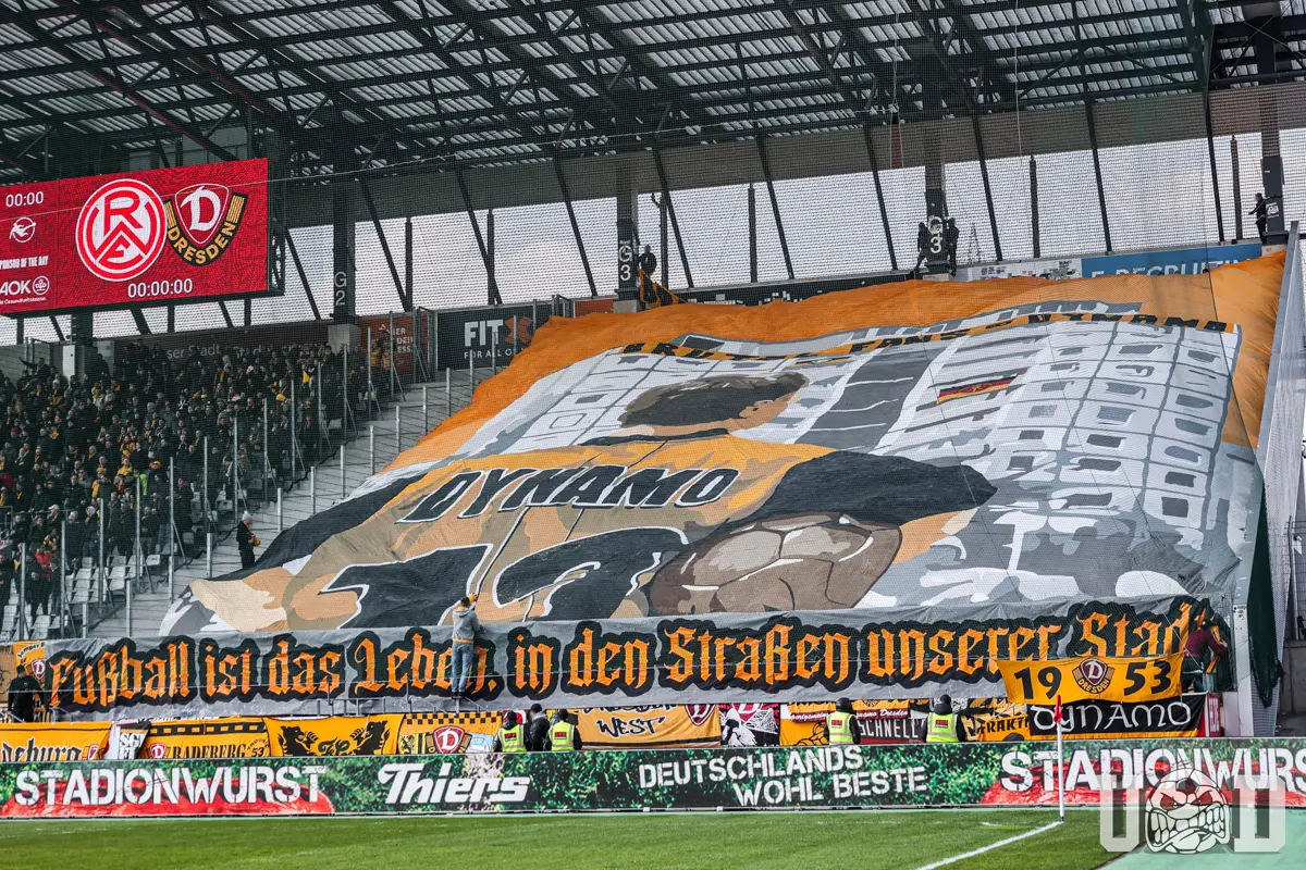 schalke dynamo
