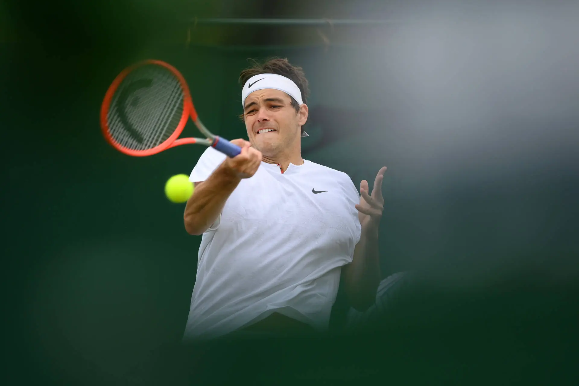 taylor fritz