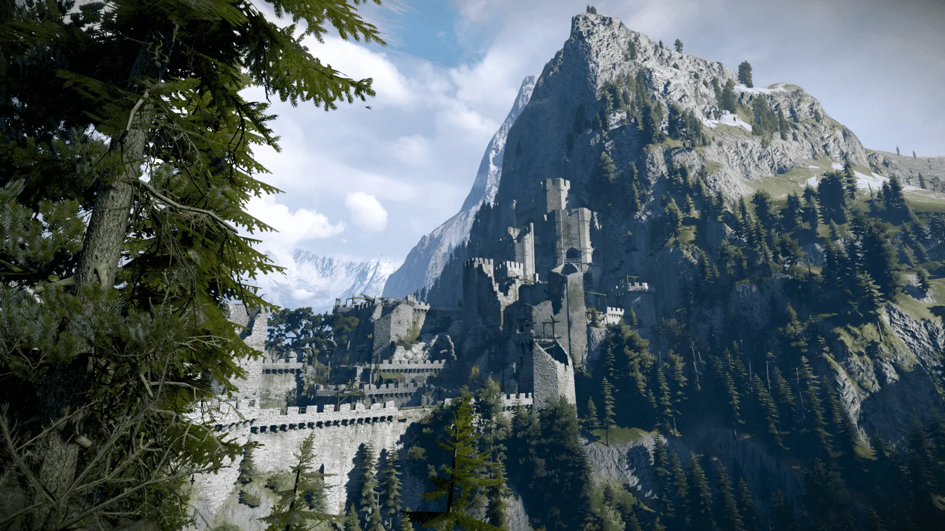 the witcher