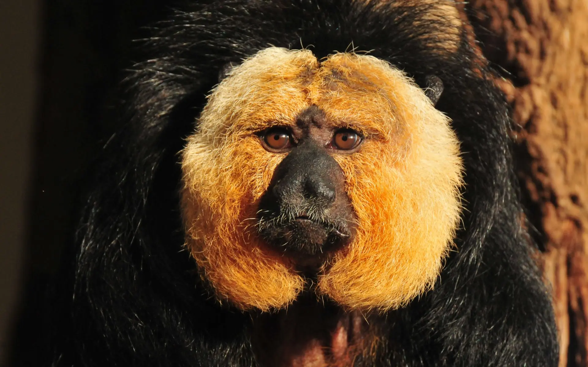 tierpark hagenbeck
