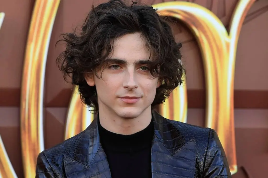 timothee chalamet