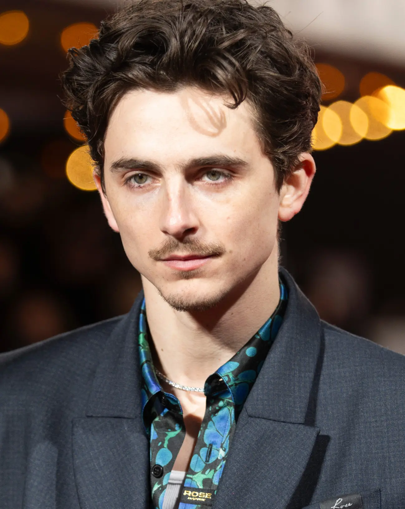 timothee chalamet 3