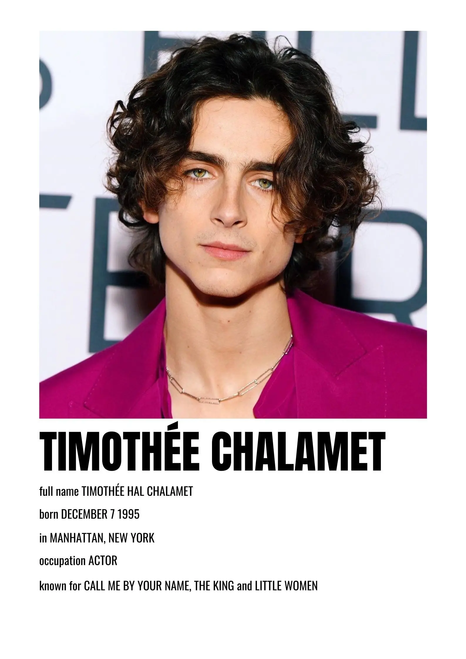 timothee chalamet 9