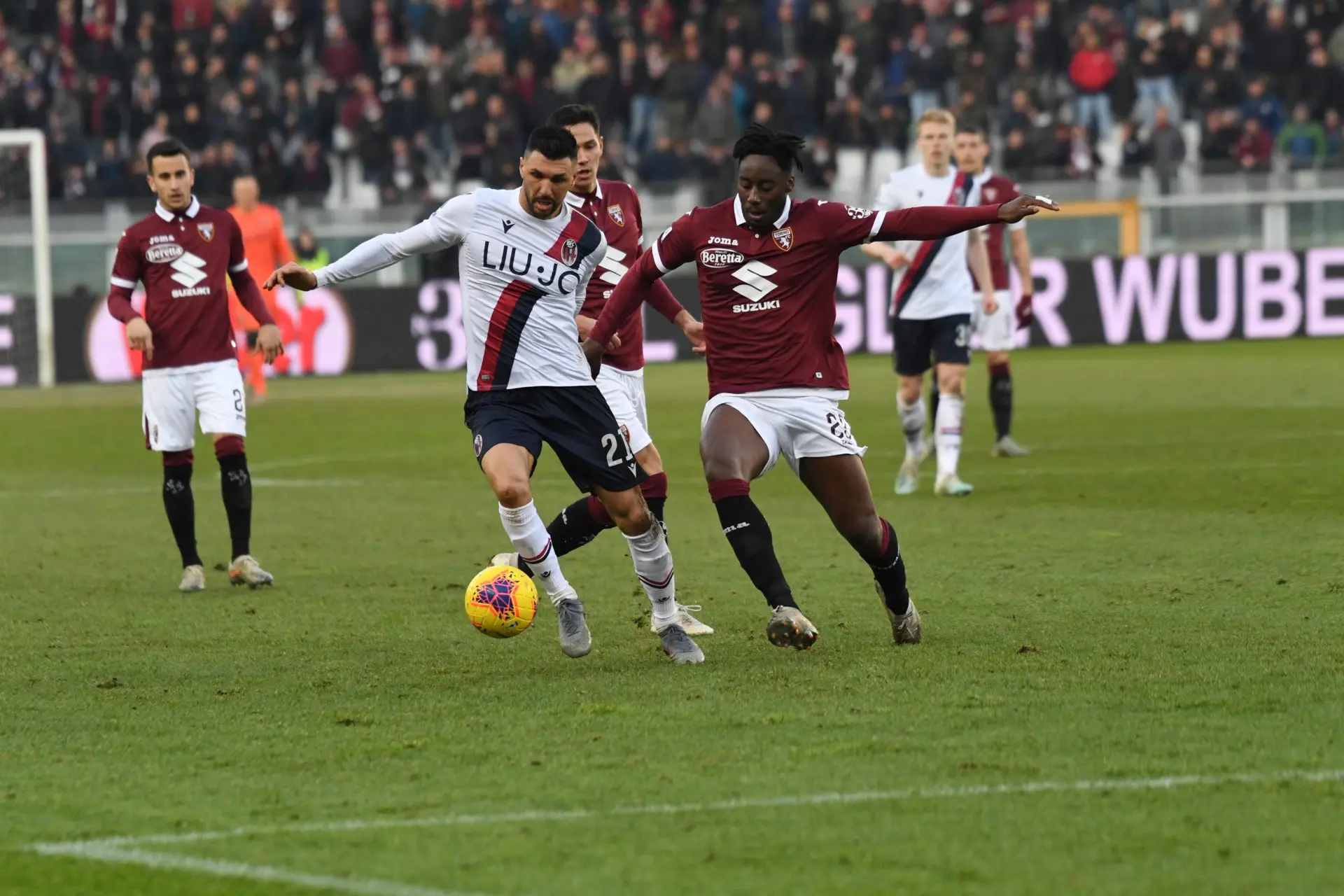 torino bologna