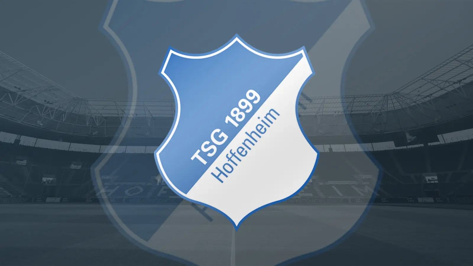 tsg hoffenheim