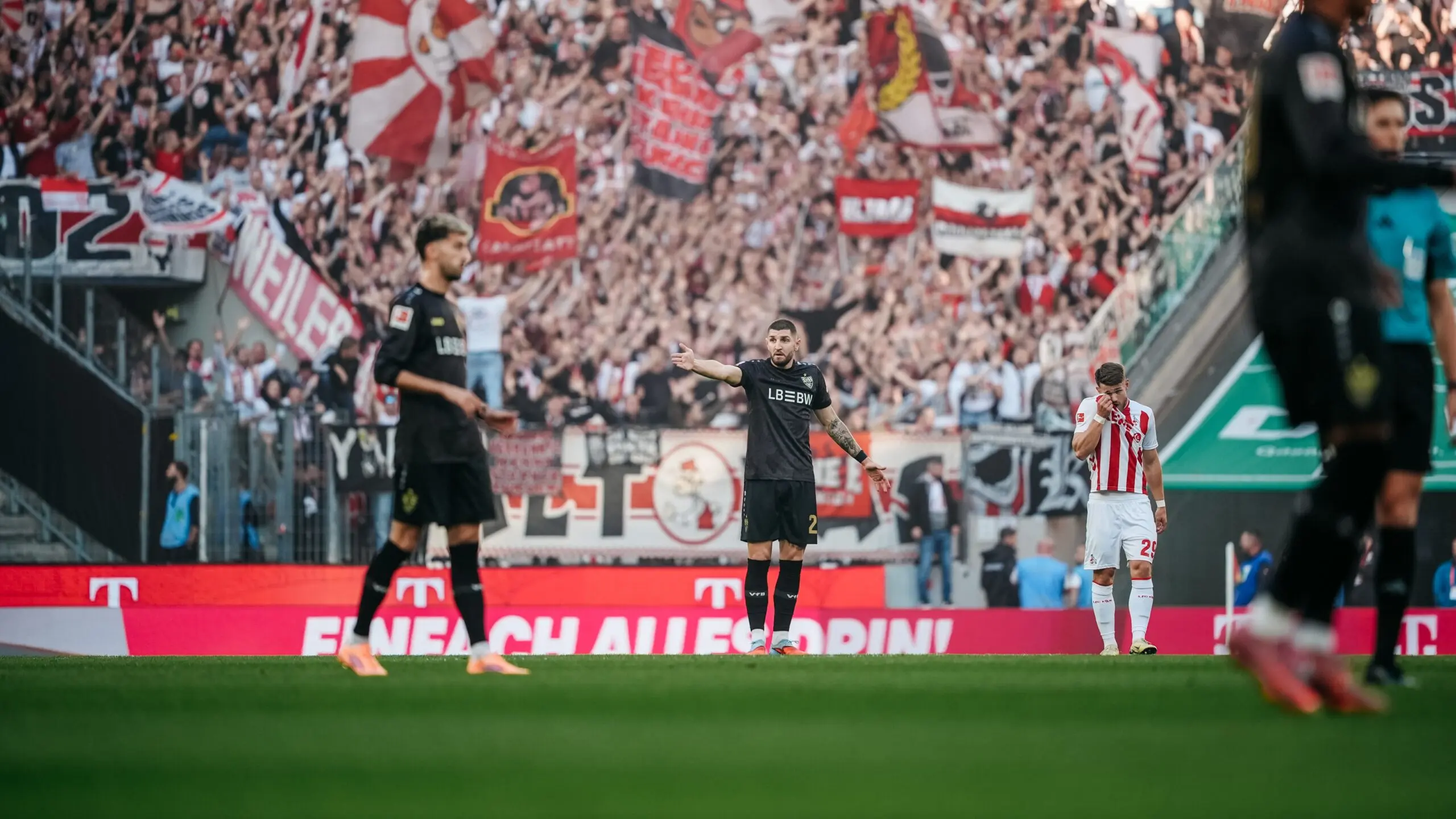 vfb stuttgart k ln