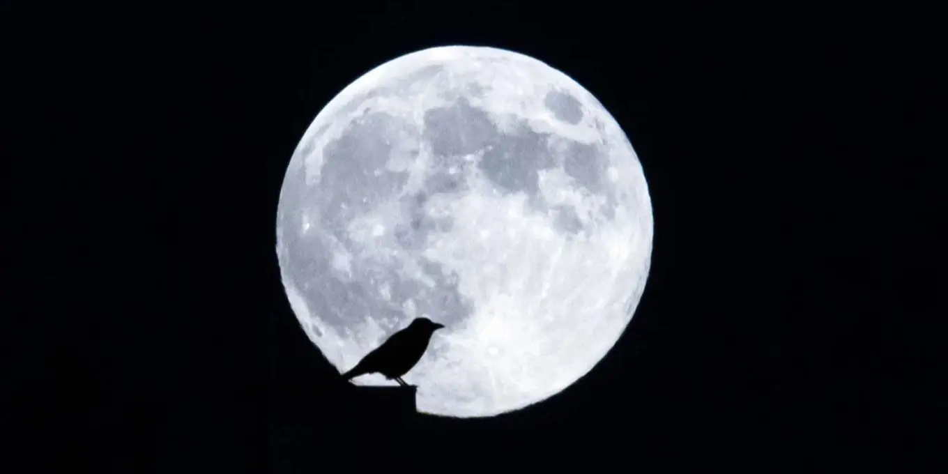 vollmond schneemond