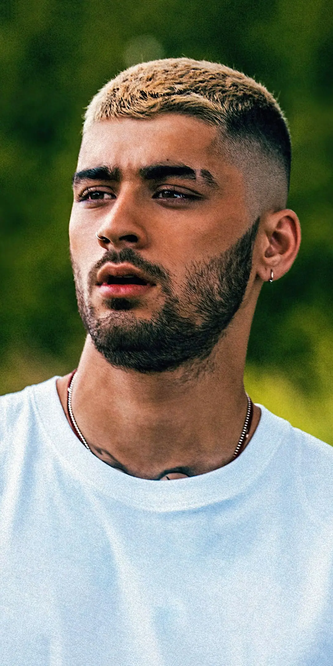 zayn malik