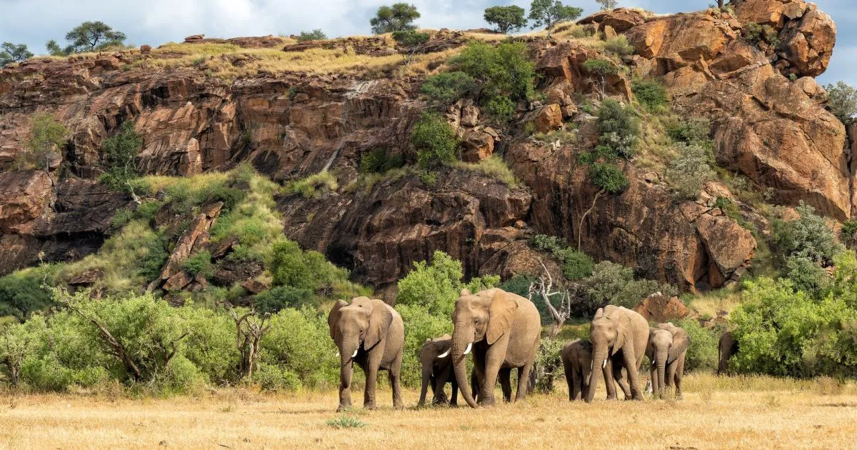 botswana — AT news