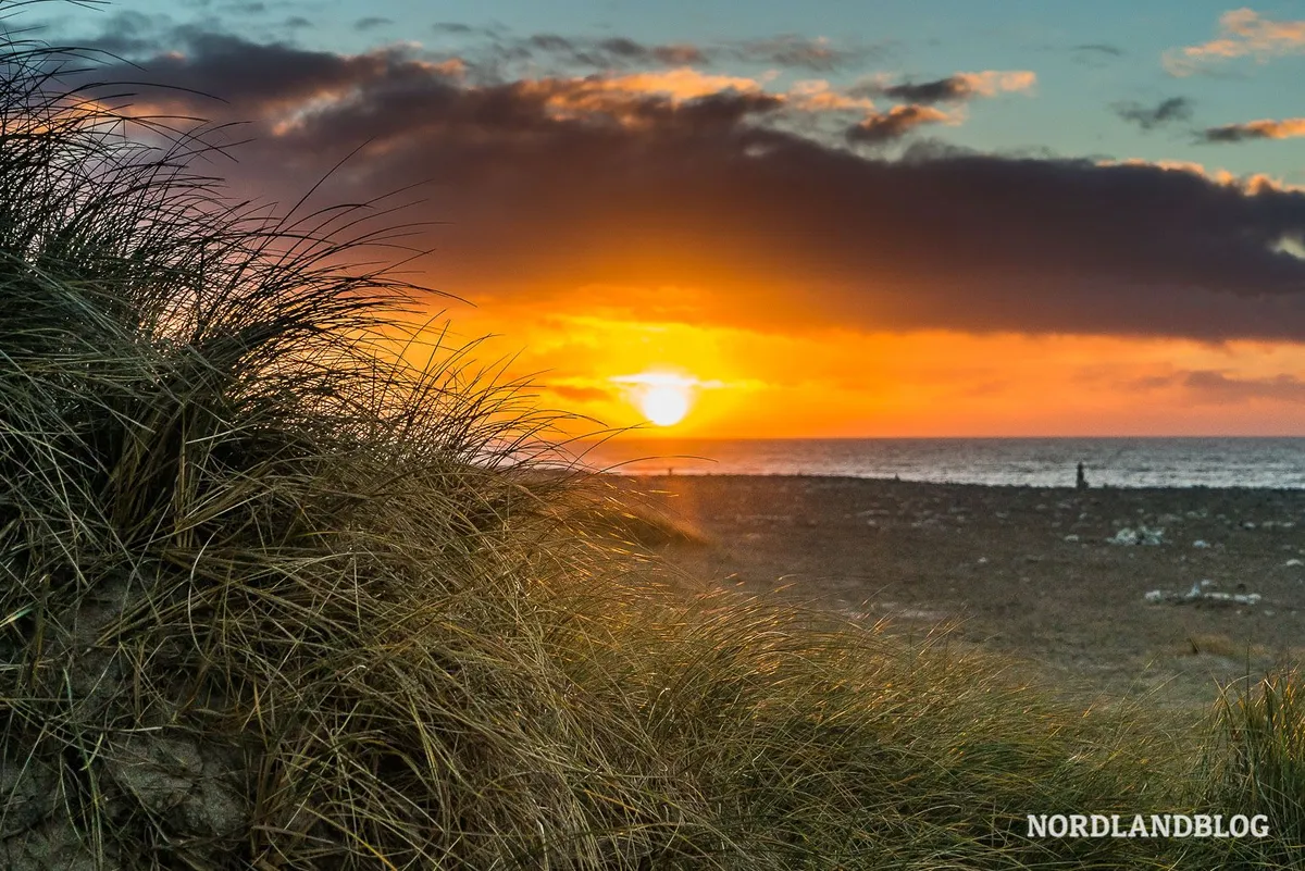 dänemark — AT news