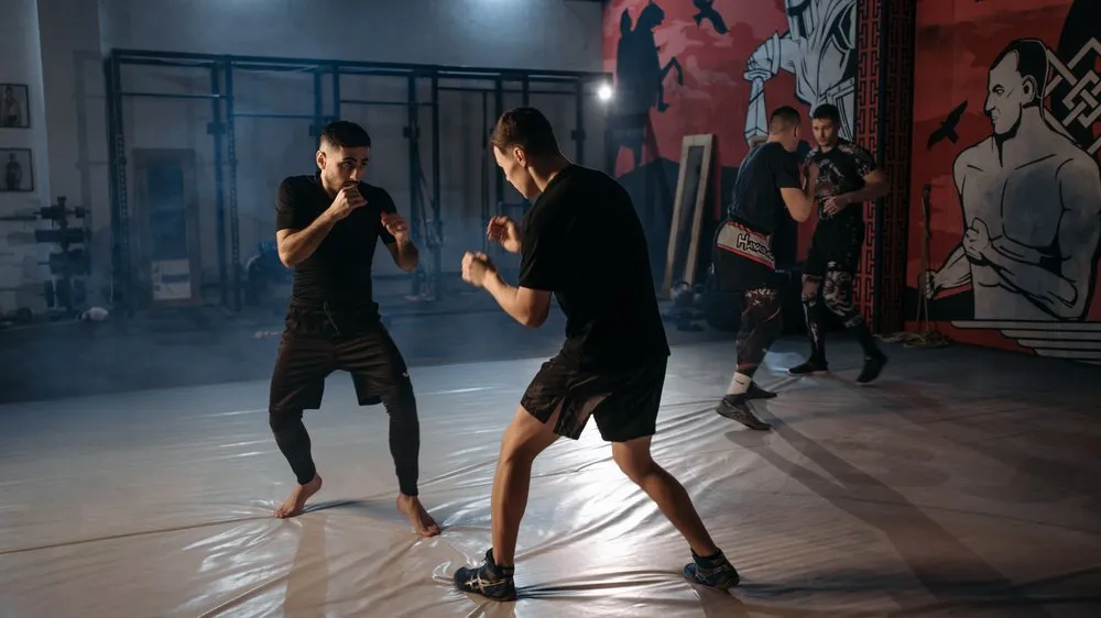 eckerlin kampf — AT news