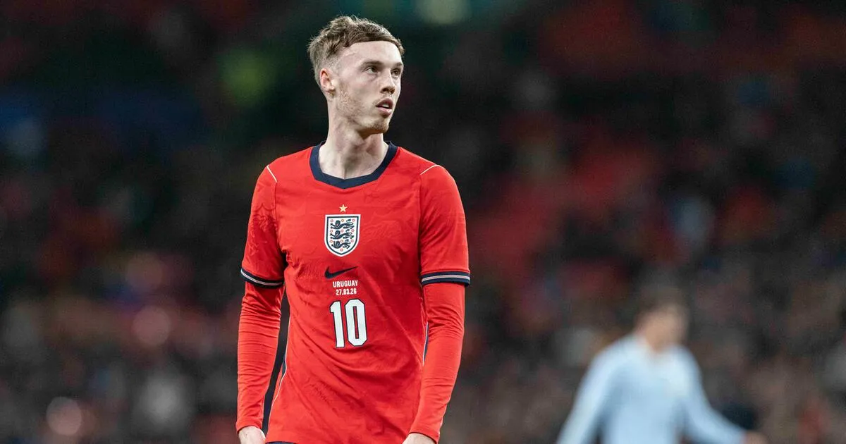 freundschaftsspiele — AT news