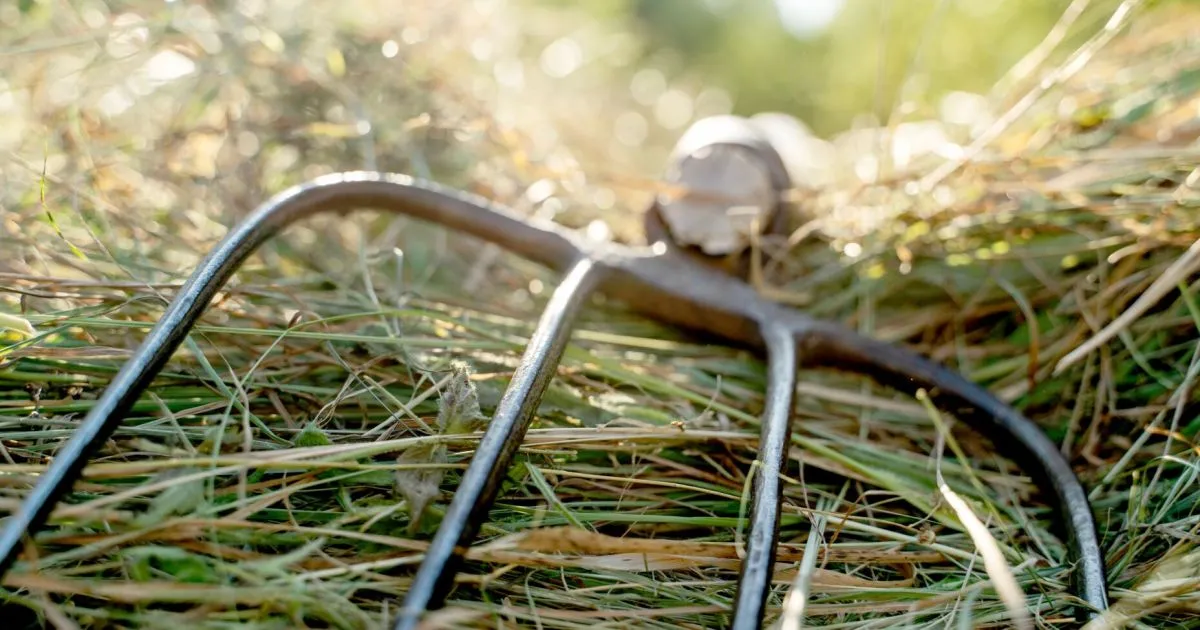 futtermischwagen — AT news